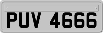 PUV4666