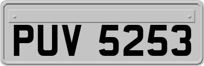 PUV5253