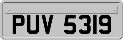 PUV5319