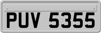 PUV5355