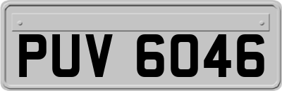 PUV6046