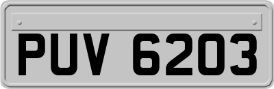 PUV6203