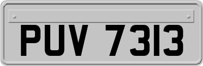 PUV7313