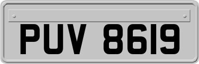 PUV8619