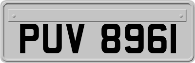 PUV8961
