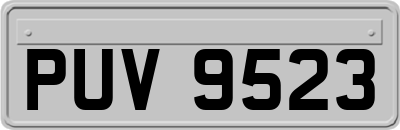 PUV9523