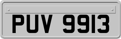 PUV9913