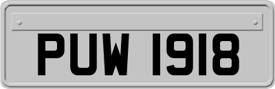 PUW1918
