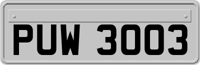 PUW3003