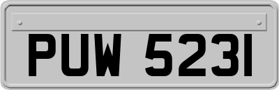 PUW5231