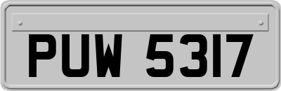 PUW5317