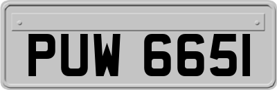 PUW6651