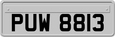 PUW8813