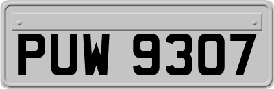 PUW9307