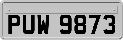 PUW9873