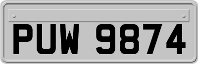 PUW9874