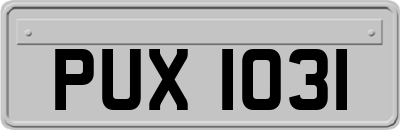 PUX1031