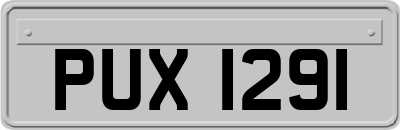 PUX1291