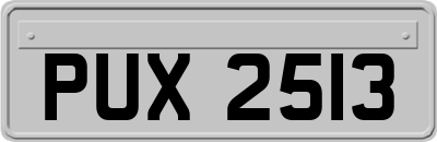 PUX2513