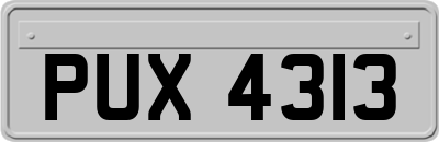 PUX4313