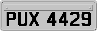 PUX4429