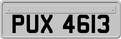 PUX4613