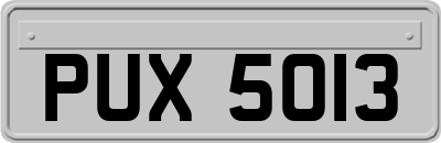 PUX5013