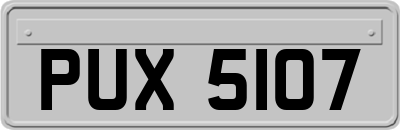 PUX5107