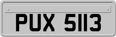 PUX5113