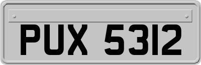 PUX5312