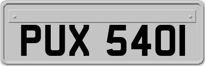 PUX5401