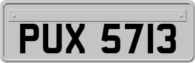 PUX5713