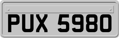 PUX5980