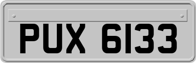 PUX6133