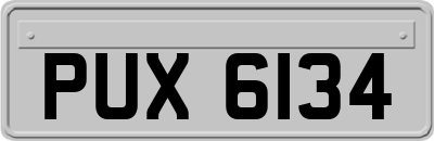 PUX6134