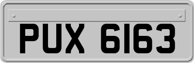 PUX6163