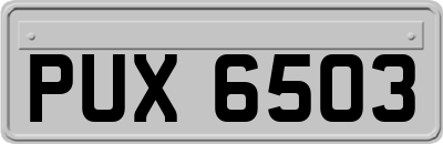 PUX6503