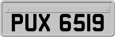 PUX6519