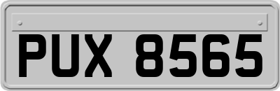 PUX8565