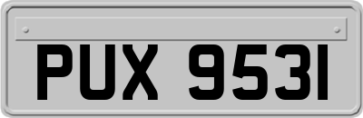 PUX9531