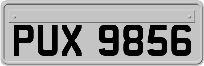 PUX9856