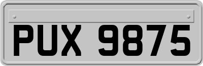 PUX9875