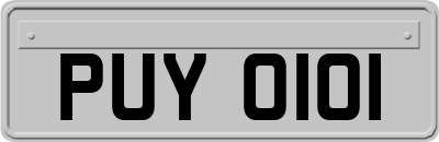 PUY0101