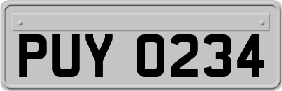 PUY0234