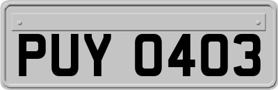 PUY0403