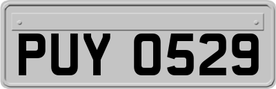 PUY0529