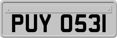 PUY0531