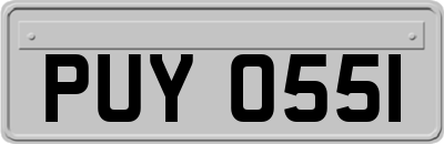PUY0551