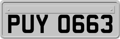 PUY0663
