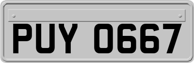 PUY0667